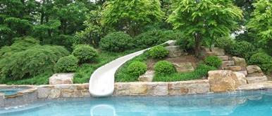 garden around pool
