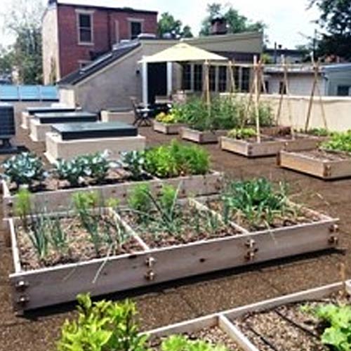 rooftop and vegetable gardens hanselman landscape and rooftop and vegetable gardens hanselman landscape and