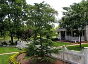 A Growing Partnership With Brittany'S Hope: Planting Seeds Of Love And Hope For Orphans Around The World. 3 Brittany'S Hope Hq