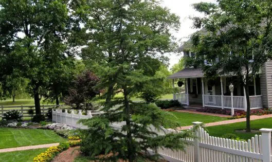 A GROWING PARTNERSHIP WITH BRITTANY’S HOPE: Planting seeds of love and hope for orphans around the world._featured_image