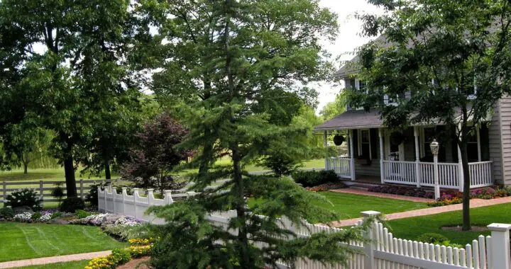 A Growing Partnership With Brittany'S Hope: Planting Seeds Of Love And Hope For Orphans Around The World. Brittanys Hope Hq