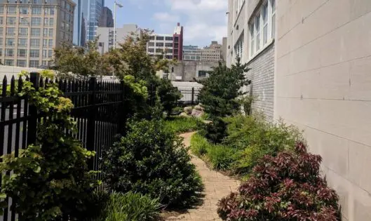 Landscape Design Services in the Philadelphia Area_featured_image