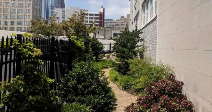 City Courtyard Garden, Chinatown, Philadelphia, Pa