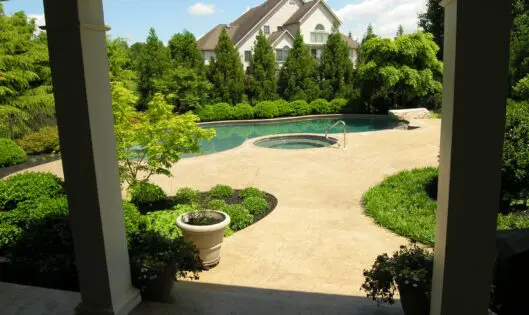 Crafting a Beautiful Garden: A “New” and Unique Point of View (Part 2)_featured_image