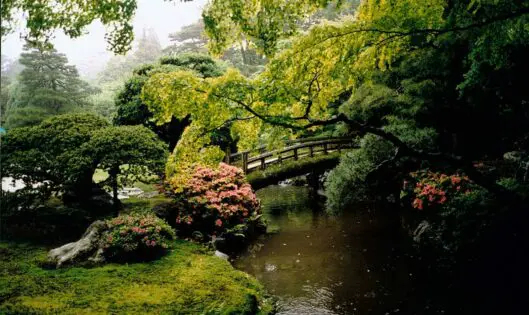 LEARNING FROM THE BEST_featured_image