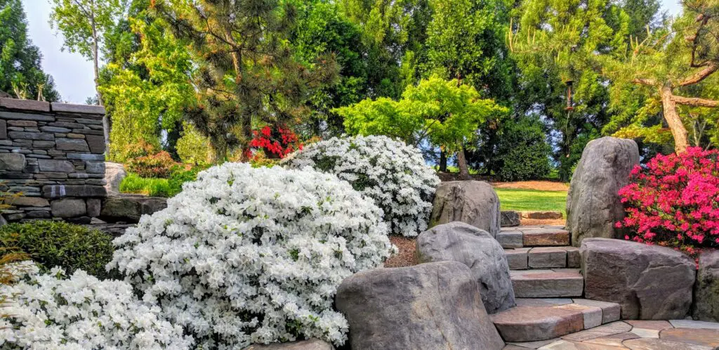 A Stone Steps Leading To A Garden