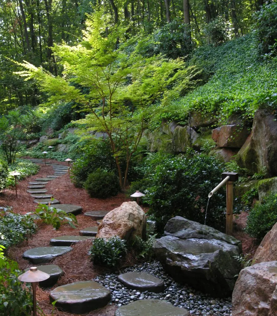 A Path In A Forest With Rocks And Trees