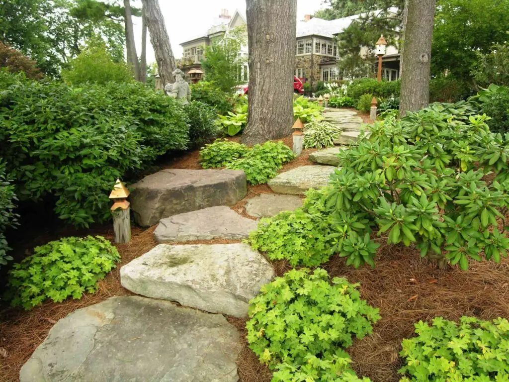 Landscape Design 23 Rugged Stone Path Through Woodland Garden, Elizabethtown, Pa