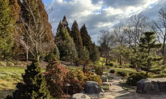 GARDEN VIEWS: Winter Sunshine_featured_image