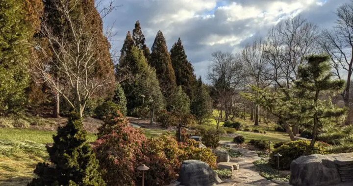 Garden Views: Winter Sunshine 141747683 5225119390839192 2364966892998674995 N