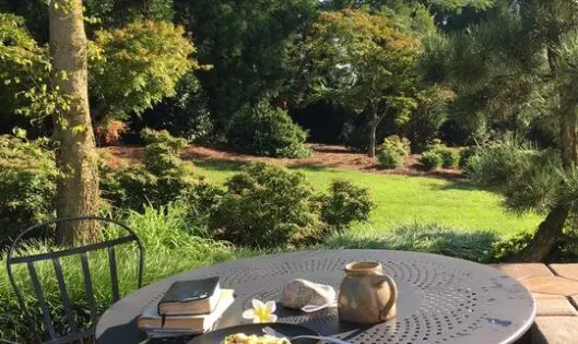 GARDEN VIEWS: Love the One You’re With!_featured_image