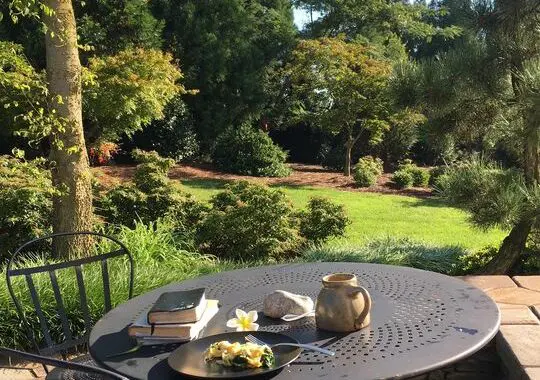 Garden Views: Love The One You'Re With! 138038153 5165892153428583 1003845493514502422 N