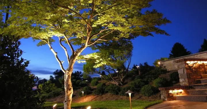 A Stone Patio And A Large Tree Backlit By Backyard Lights