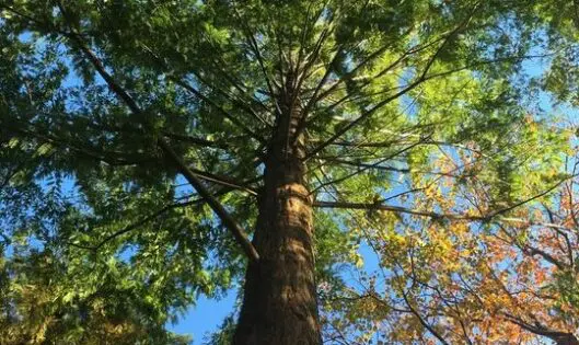 Garden Time_featured_image