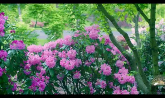 Sunrise, Sunset…_featured_image