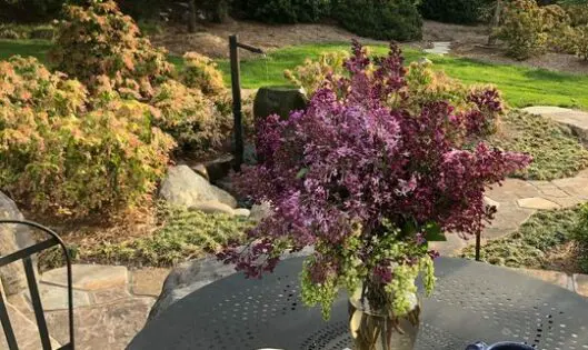 Every day, take time . . ._featured_image