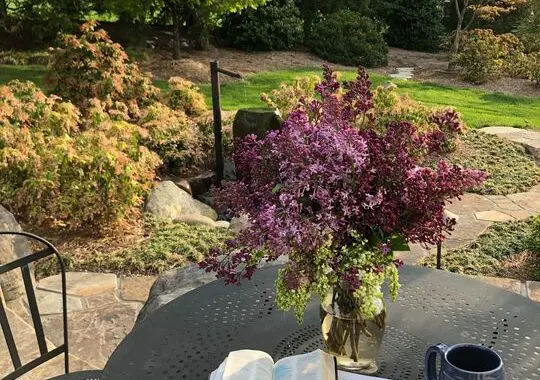A Peaceful Backyard Garden Patio Surrounded By Trees, Bushes, And A Well Manicured Lawn