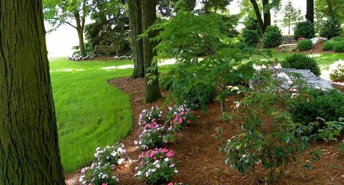 Hanselman Landscape Is In Elizabethtown, Pennsylvania 30713675 2139502972734198 6461566421800321024 N