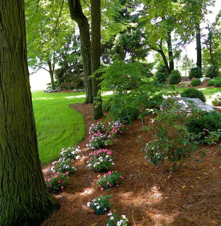 Hanselman Landscape is in Elizabethtown, Pennsylvania_featured_image