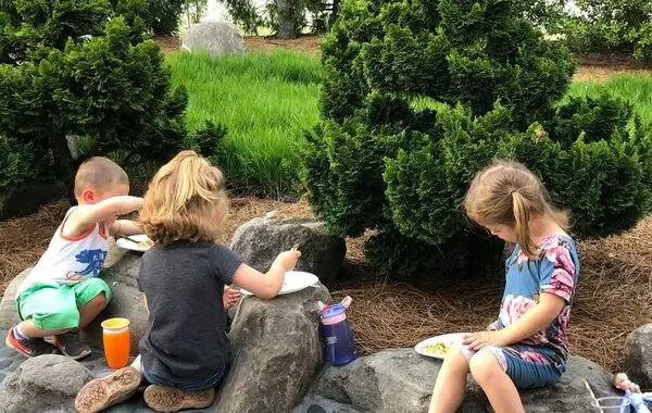 Gardens For Children 5 Gardens For Children 105020116 4209181725766302 1282979455725543612 N