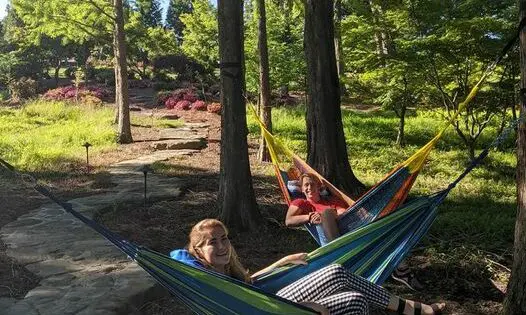 SUMMER HANGOUT_featured_image