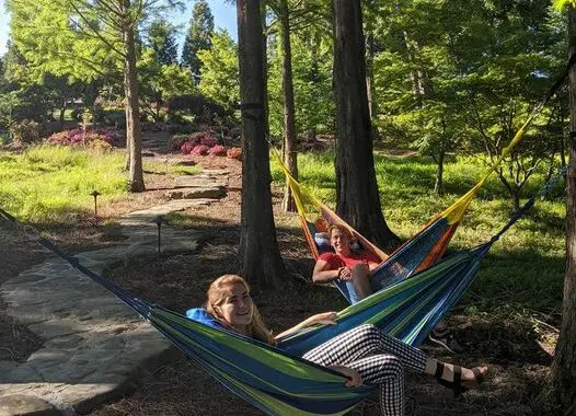 Summer Hangout 105037084 4209053115779163 5937689301423018562 N