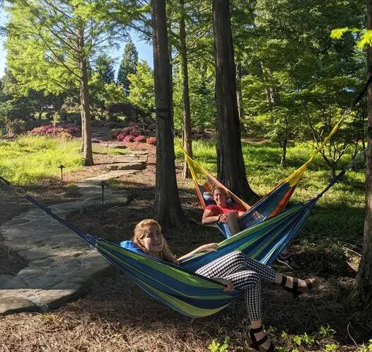 SUMMER HANGOUT_featured_image