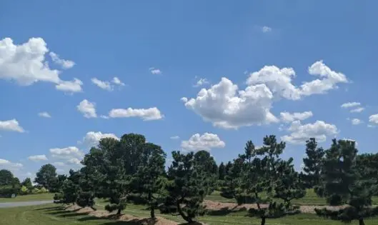 Creating Beauty from a Beautiful Place_featured_image