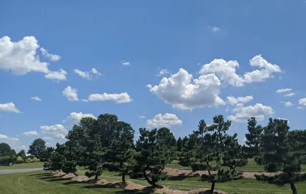 Creating Beauty From A Beautiful Place 6 Creating Beauty From A Beautiful Place 108857845 4320903417927465 8039991670736153232 N