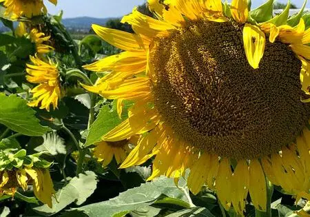 Thankful…_featured_image