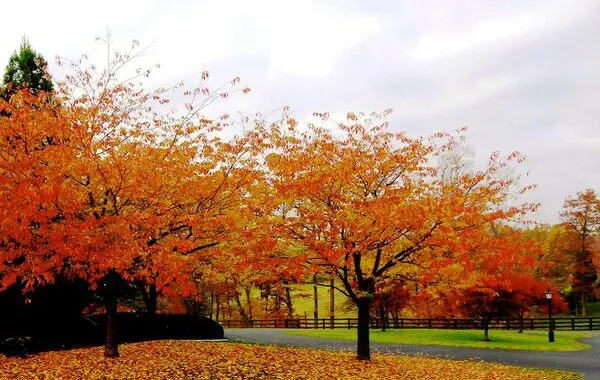 72 Seasons Of The Year? 5 72 Seasons Of The Year? 119710776 4652164014801402 6360729706290127524 N