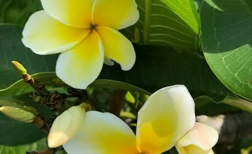 It’s not summer anymore . . ._featured_image