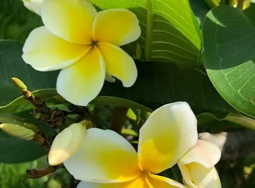 It'S Not Summer Anymore . . . 6 It'S Not Summer Anymore . . . 119736473 4635501506467653 3755553941591275901 N