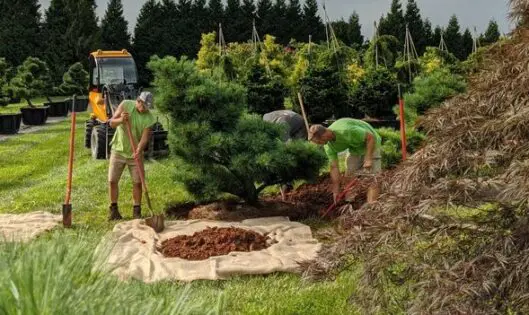 A New Home_featured_image