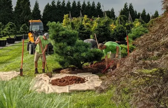 A New Home 6 A New Home 120457687 4724480837569719 1626054852241725590 N