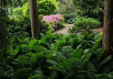 Q&A with R&A (a local building and renovations publication)_featured_image