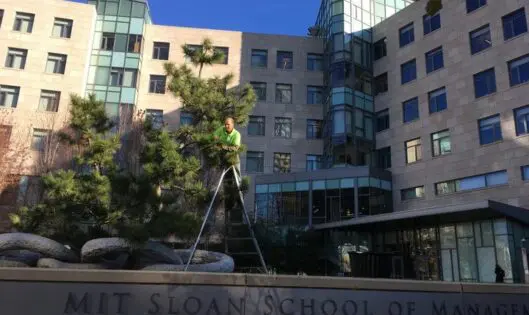 Curators of Living Art_featured_image