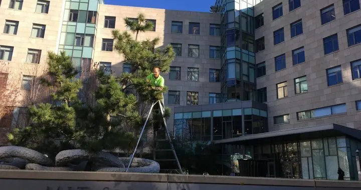 Curators Of Living Art 138648966 5197773463573785 4869924743064938622 N