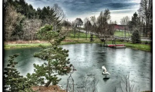 Garden Views_featured_image