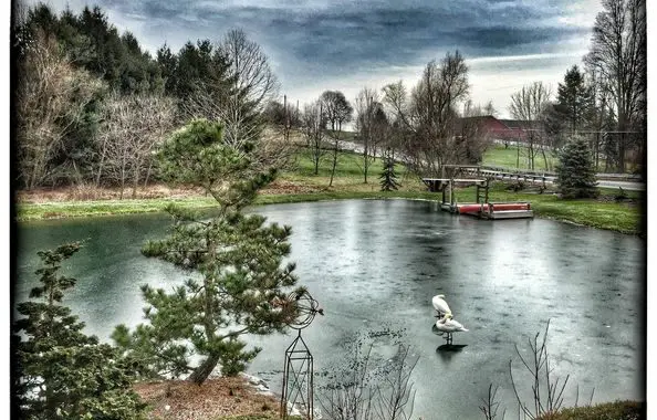 Garden Views 139838077 5193443087340156 8280061362086477745 N