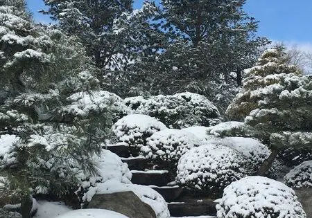 Garden Views in Winter_featured_image