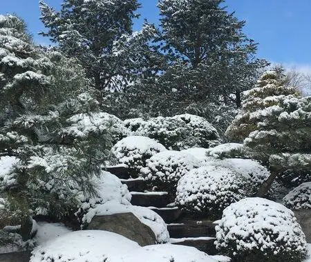 Garden Views In Winter 140074764 5197600046924460 9178120465830309259 N