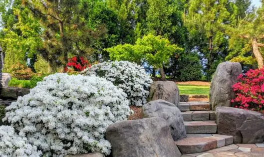 Garden Stairs_featured_image