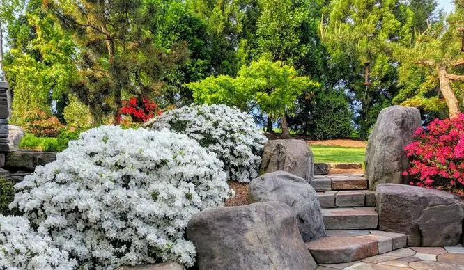 Garden Stairs_featured_image