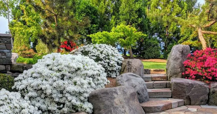 Garden Stairs 6 Garden Stairs 174335522 5631931696824624 2724761938927429077 N