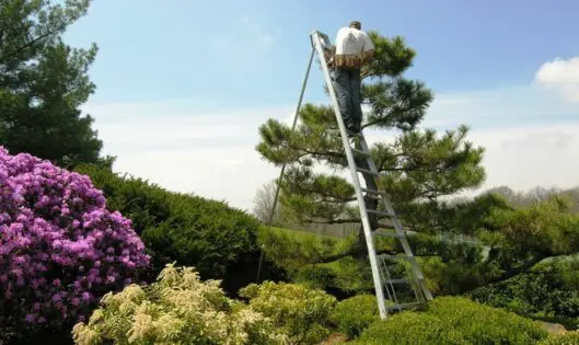 Invest in Your Garden_featured_image