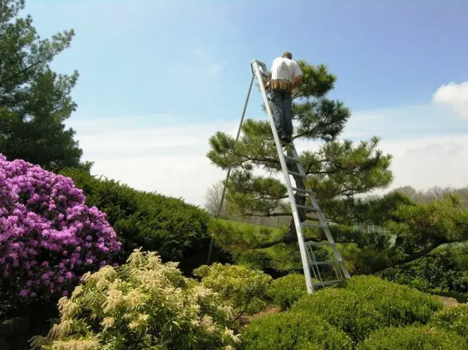 Invest in Your Garden_featured_image