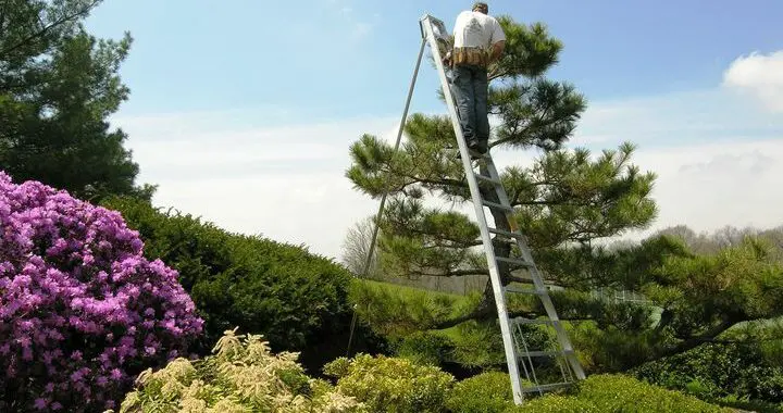 Invest In Your Garden 3 Invest In Your Garden 174772694 5631999806817813 9026193699536175780 N