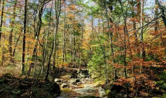 Inspired by Nature_featured_image