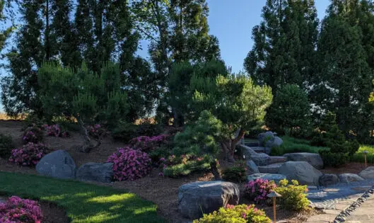 Nobedan Patio_featured_image